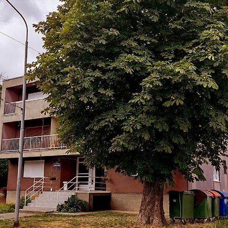 Tp Apartman 1 Križevci Esterno foto